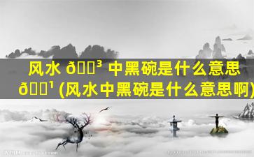 风水 🌳 中黑碗是什么意思 🌹 (风水中黑碗是什么意思啊)